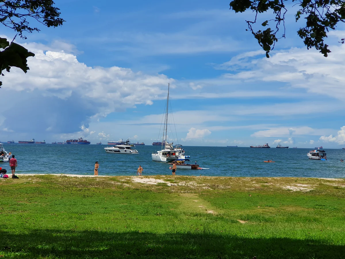 Nature's kaleidoscope: a harmonious blend of green grass, golden sand, and the vast sea vista from Lazarus Island Beach.