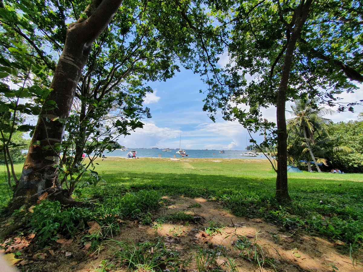 We take a rest under the shade of a tree.